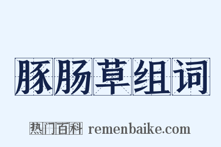 豚肠草组词是什么意思的图片